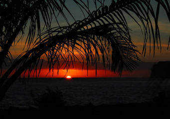 杀人狂杀死攻略是什么呢？