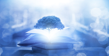 杀人狂杀死攻略是什么呢？