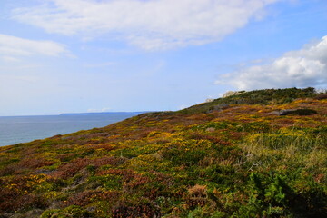 刀客笔记本k1-g4支持16g内存吗