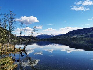 顺丰快递寄笔记本电脑是否安全