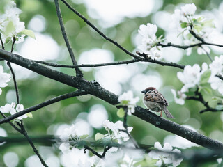 杀人狂杀死攻略是什么呢？