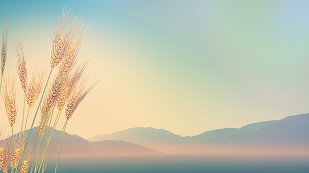 华硕笔记本电脑如何拆