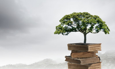 三星 R440 笔记本电脑没声音